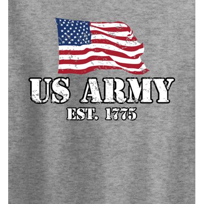 4173 US ARMY DIST FLAG