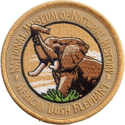 USA-AFRICAN ELEPHANT(SMITHSONIAN)[LX18]